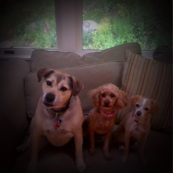 Meet your Posher, Christine - Picture 1 of 1